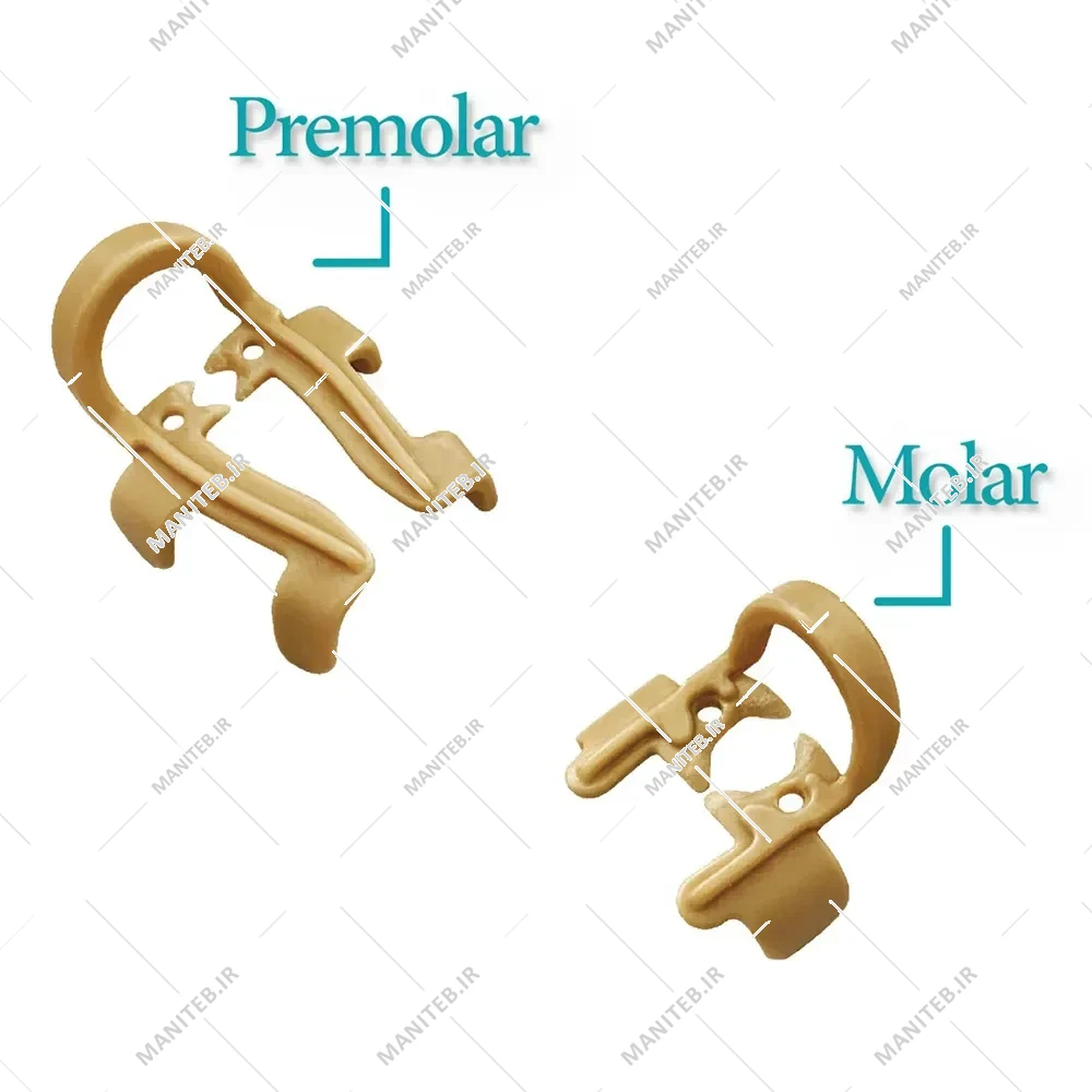 کلمپ نگهدارنده رول پنبه Zt Dental
